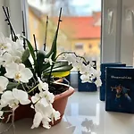 Om Yoga Center * Slovenska Bistrica