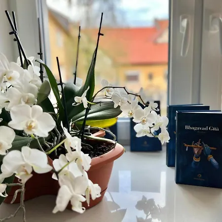 Om Yoga Center * Slovenska Bistrica