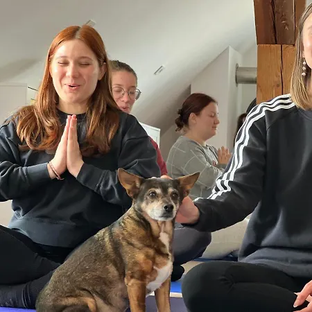 Om Yoga Center