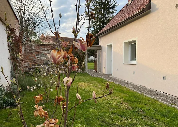 Om Yoga Center * Slovenska Bistrica