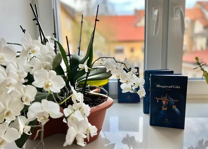 Om Yoga Center * Slovenska Bistrica