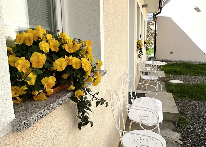 Om Yoga Center Homestay Slovenska Bistrica