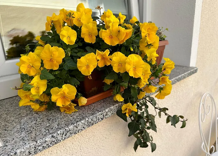 Om Yoga Center Privatunterkunft